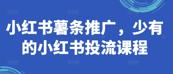 小红书薯条推广，少有的小红书投流课程-E网资源
