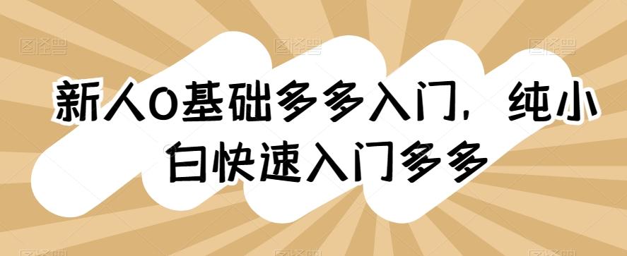 新人0基础多多入门，​纯小白快速入门多多-E网资源
