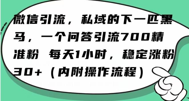 怎么搞精准创业粉？微信新赛道，每天一小时，利用Ai一个问答日引100精准粉-E网资源