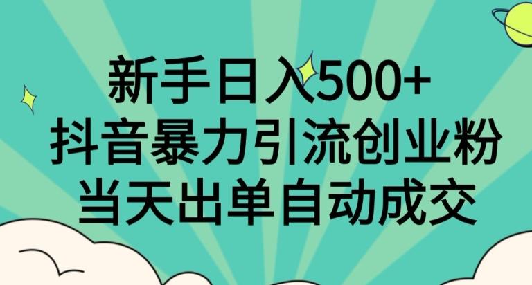 新手日入500+，抖音暴力引流创业粉，当天出单自动成交-E网资源