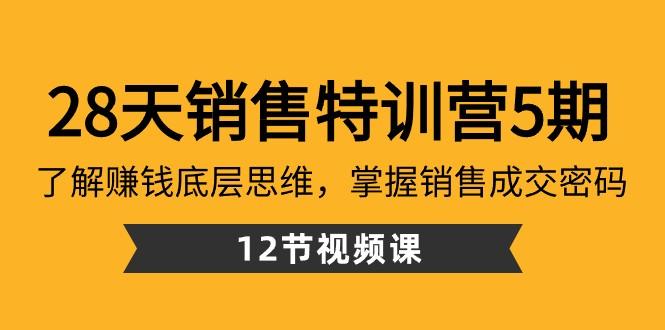 28天销售特训营5期：了解赚钱底层思维，掌握销售成交密码（12节课）-E网资源