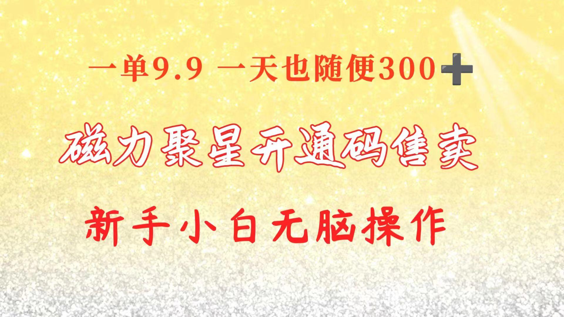 快手磁力聚星码信息差 售卖  一单卖9.9  一天也轻松300+ 新手小白无脑操作-E网资源