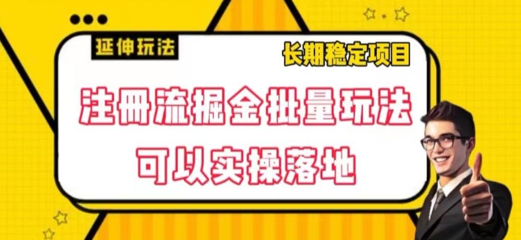 注册流掘金批量玩法，可以实操落地【揭秘】-E网资源