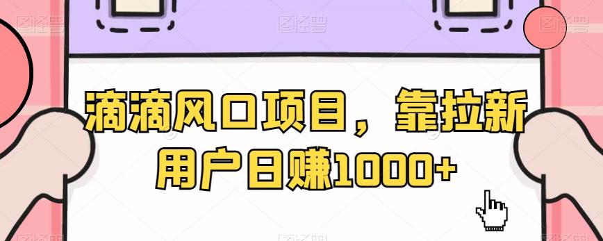 滴滴风口项目，靠拉新用户日赚1000+-E网资源