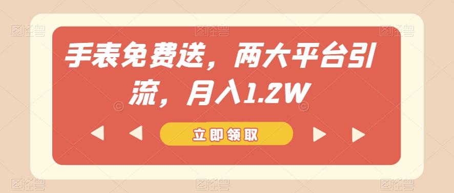 手表免费送，两大平台引流，月入1.2W【揭秘】-E网资源