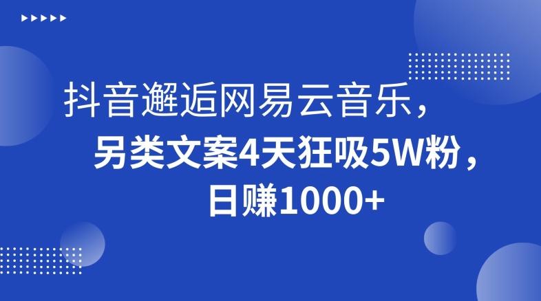 抖音邂逅网易云音乐，另类文案4天狂吸5W粉，日赚1000+【揭秘】-E网资源
