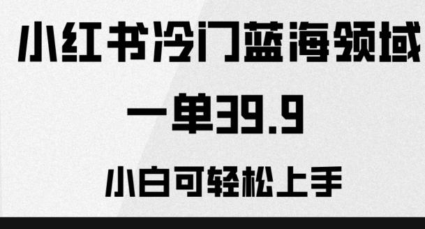 小红书冷门蓝海领域，一单39.9，小白可轻松上手-E网资源