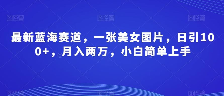 最新蓝海赛道,一张美女图片,日引100+,月入两万,小白简单上手