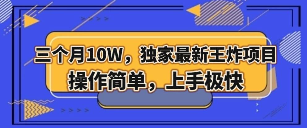 三个月10W，独家最新王炸项目！操作简单，上手极快【揭秘】-E网资源
