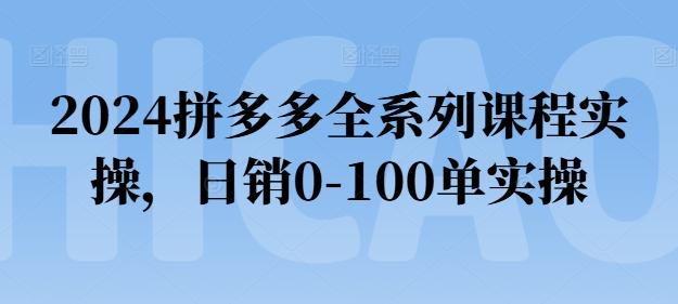 2024拼多多全系列课程实操，日销0-100单实操【必看】-E网资源