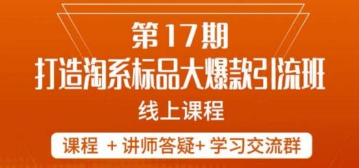 南掌柜-第17期打造淘系标品大爆款，5天线上课-E网资源