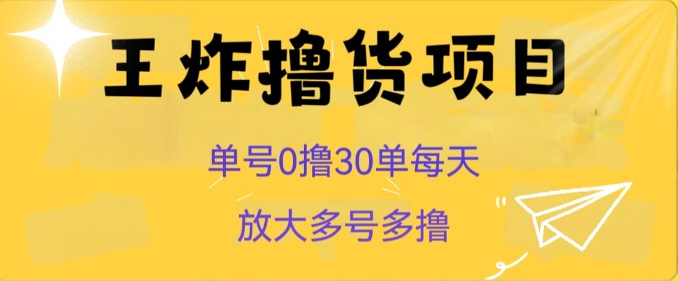 王炸撸货项目，单号0撸30单每天，多号多撸【揭秘】-E网资源