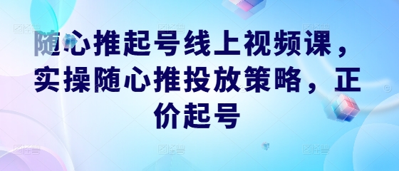 随心推起号线上视频课，实操随心推投放策略，正价起号-E网资源