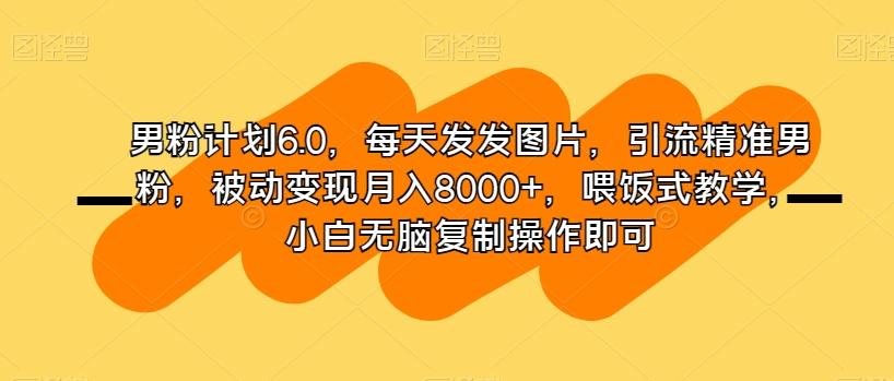 男粉计划6.0，每天发发图片，引流精准男粉，被动变现月入8000+，喂饭式教学，小白无脑复制操作即可-E网资源