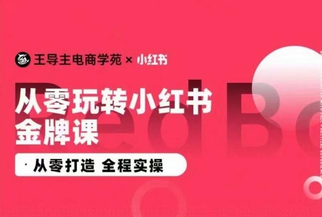 王导主·小红书电商运营实操课，​从零打造  全程实操-E网资源