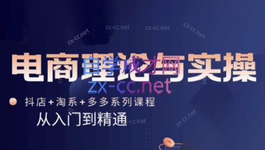 磊子·电商理论与实操(抖店+淘系+拼多多)-E网资源