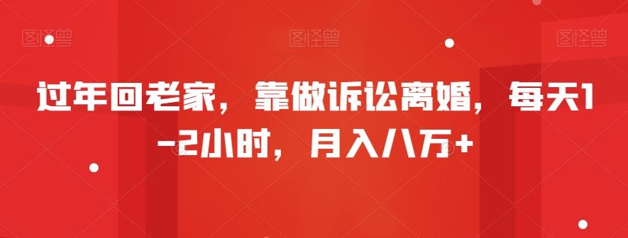 过年回老家，靠做诉讼离婚，每天1-2小时，月入八万+-E网资源