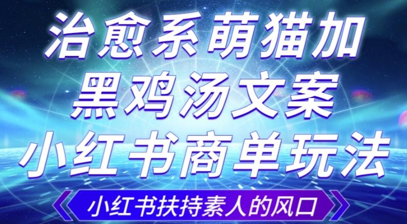 治愈系萌猫加+黑鸡汤文案，小红书商单玩法，3~10天涨到1000粉，一单200左右-E网资源
