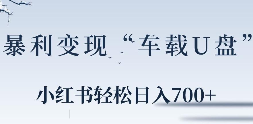 小红书“车载U盘”暴利引流，日入700+-E网资源