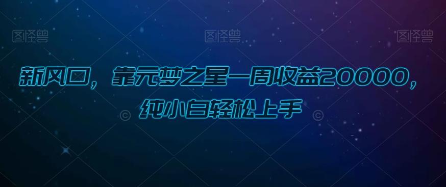 新风口，靠元梦之星一周收益20000，纯小白轻松上手-E网资源