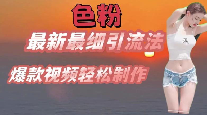 se粉最新最细引流法，七天螺旋起号法，爆款视频轻松制作【揭秘】-E网资源