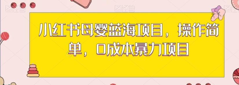 小红书母婴蓝海项目，操作简单，0成本暴力项目-E网资源