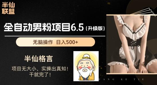 男粉项目6.5升级版，全自动男粉项目，日收入1K+【揭秘】-E网资源