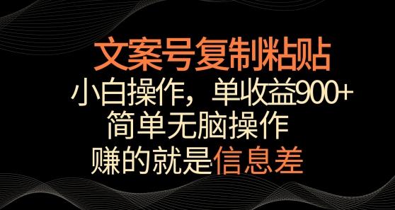 文案号掘金，简单复制粘贴，小白操作，单作品收益900+【揭秘】-E网资源