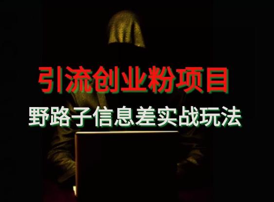【引流创业粉】野路子信息差玩法实战教学-E网资源