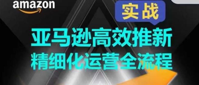 亚马逊高效推新精细化运营全流程，全方位、快速拉升产品排名和销量!-E网资源
