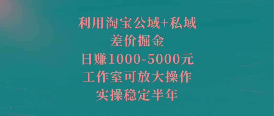利用淘宝公域+私域差价掘金，日赚1000-5000元，工作室可放大操作，实操…-E网资源