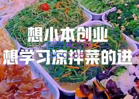 李记·精品凉拌菜系列热卤系列教程-E网资源