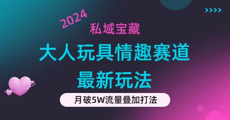 私域宝藏：大人玩具情趣赛道合规新玩法，零投入，私域超高流量成单率高-E网资源