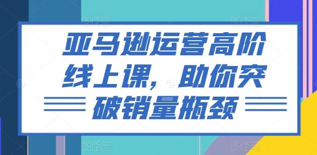 亚马逊运营高阶线上课，助你突破销量瓶颈-E网资源