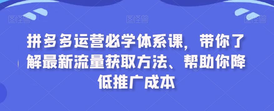拼多多运营必学体系课，带你了解最新流量获取方法、帮助你降低推广成本-E网资源