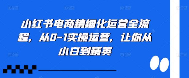 小红书电商精细化运营全流程，从0-1实操运营，让你从小白到精英-E网资源