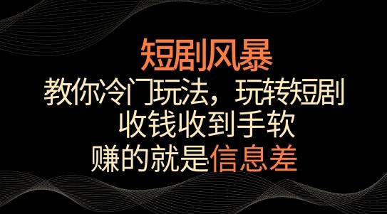 短剧风暴，教你冷门玩法，玩转短剧，收钱收到手软【揭秘】-E网资源