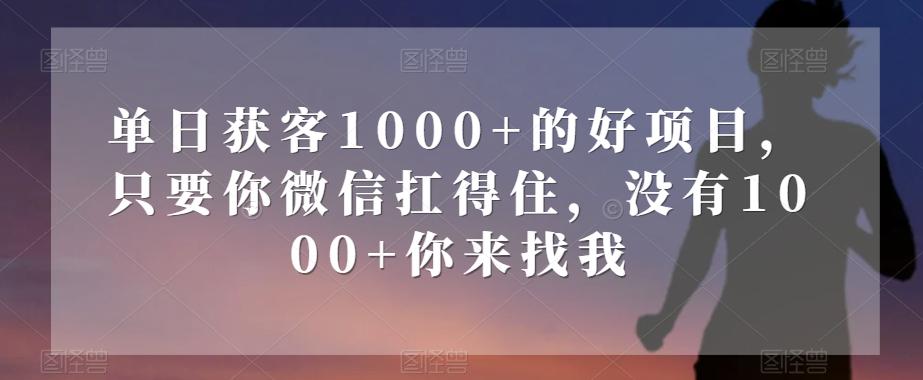 单日获客1000+的好项目，只要你微信扛得住，没有1000+你来找我【揭秘】-E网资源