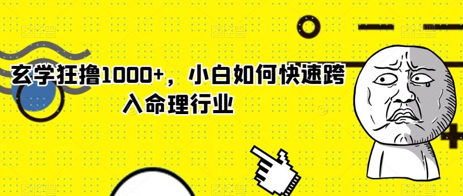 玄学狂撸1000+，小白如何快速跨入命理行业-E网资源