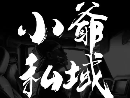 小爷·私域项目操盘手-E网资源