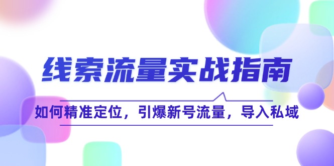 线 索 流 量-实战指南：如何精准定位，引爆新号流量，导入私域-E网资源
