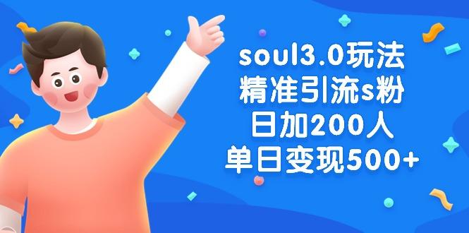 soul3.0玩法精准引流s粉，日加200人单日变现500+-E网资源