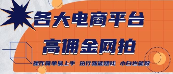 各大电商平台高佣金网拍，操作简单易上手，执行就能赚钱，小白也能做-E网资源