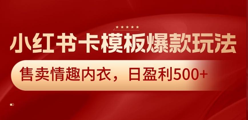 小红书卡模板爆款玩法，售卖情趣内衣，日盈利500+【揭秘】-E网资源