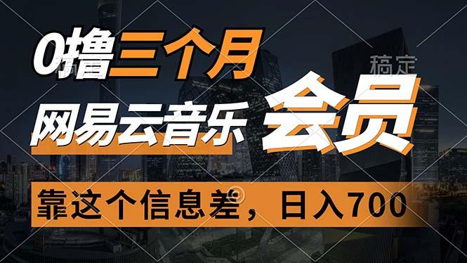 0撸三个月网易云音乐会员，靠这个信息差一天赚700，月入2w-E网资源