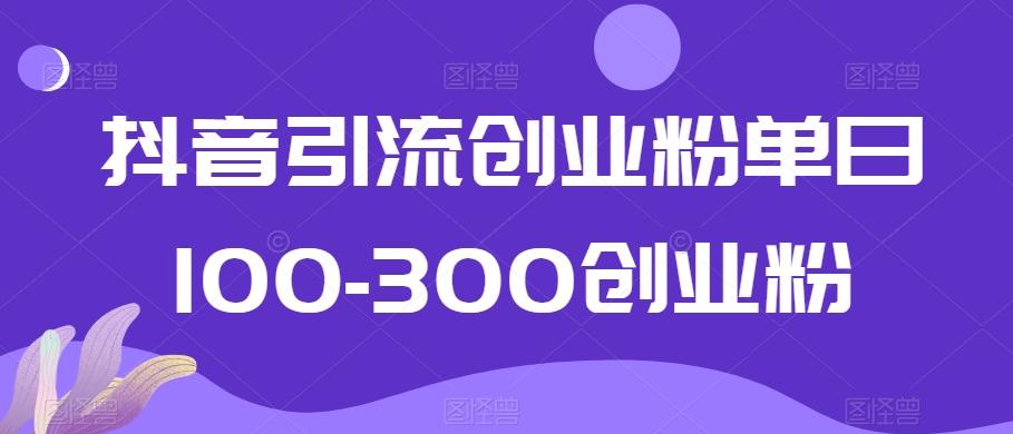 抖音引流创业粉单日100-300创业粉【揭秘】-E网资源