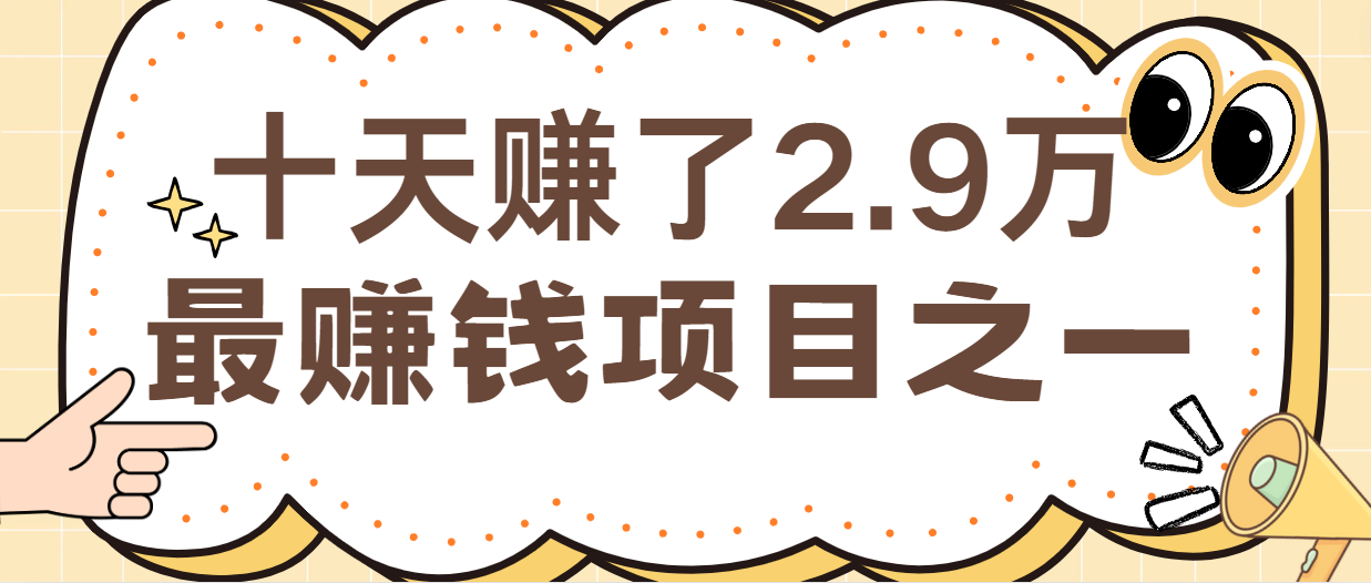 闲鱼小红书最赚钱项目之一，纯手机操作简单，小白必学轻松月入6万+-E网资源