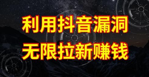 利用抖音链接漏洞，无限拉新赚钱【漏洞原理+操作流程】【揭秘】-E网资源