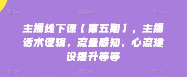 主播线下课【第五期】，主播话术逻辑，流量感知，心流建设提升等等-E网资源