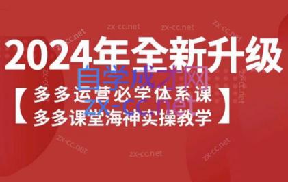海神老师·拼多多运营必学体系课-E网资源